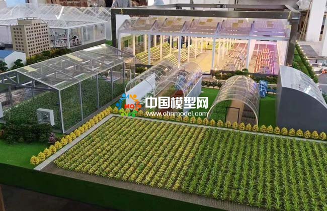  農(nóng)業(yè)大棚模型，畜牧養(yǎng)殖沙盤模型 